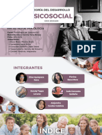 Teoría Psicosocial PDF