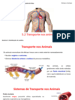 5 2TransporteAnimais