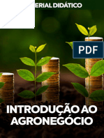 Introdução Ao Agronegócio