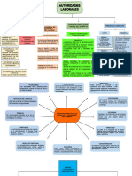 Mapas Laboral