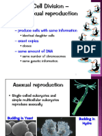 Meiosis Reductiodivision - Final (Autosaved)