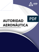 2.1 Autoridad Aeronautica