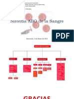 Mapa Conseptual de Biologuia de Abo de La Sangre