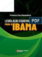 Legislação Esquematizada para O Ibama: Professora Clara Wandenkolck