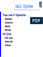 Lecture 5 Tissues, Cell Cycles