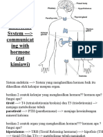 Endocrine System