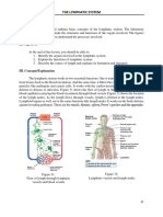 Manual Lymphatic System