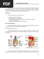 Manual Reproductive System