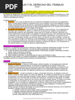 Resumen Laboral Ackerman 1 Parcial