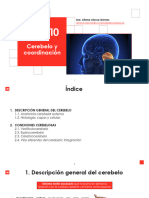 Tema 1.9.3 - Cerebelo y Coordinación 23-24