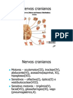 Aula Nervos Cranianos