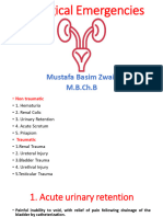 Urological Emergencies