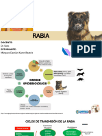 Tarea 4 - Caso Epizootia - Rabia - Márquez Damián