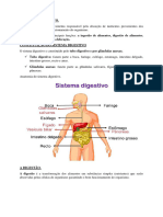 O Sistema Digestivo