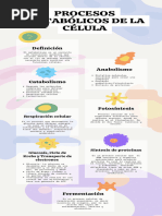 Procesos Metabólicos de La Célula