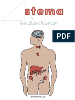 Sistema Endocrino