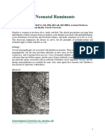 Diarrhea in Neonatal Ruminants