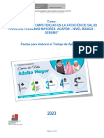 Pautas Trabajo Aplic. Curso Desarrollo Competencias Acapem - Serums VB