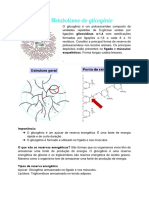 Bioquímica Área II