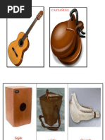 Instrumentos Musicales Criollas