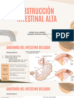 Obstrucción Intestinal Alta