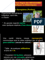 Zoologie 2 Didermiques