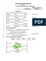 Class 2 ES Revision Worksheet 2023-24 (More About Plants)