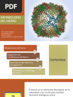 Clase 5. Metabolismo Del Hierro