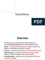 Facial Nerve