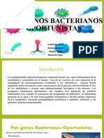 Patógenos Bacterianos Oportunistas