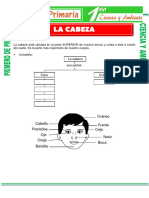 La Cabeza para Primero de Primaria