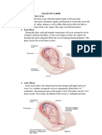 Stages of Labor