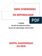 16.03.les Grands Syndromes en Nephrologie