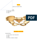 4) Pelvis Miembro Infer.