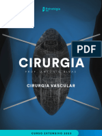 Cirurgia Vascular