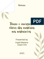 Fluxo e Energia e Ciclos Da Matéria Na Natureza
