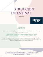 Obstruccion Intestinal