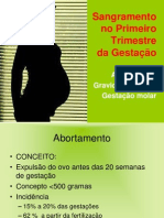 Sangramento No Primeiro Trimestre Da Gestação