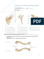 Systematic Anatomy Tutorial Week 2