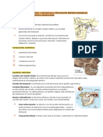 TEMA 5 - Articulación Temporo Mandibular