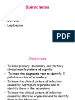 Spirochaetes 2006 07 Med