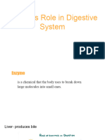 Enyzmes Role in Digestive System