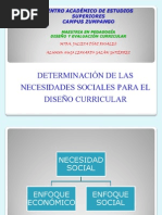 Necesidades Sociales