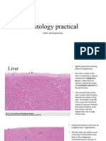 The Liver and Pancreas