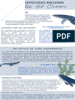 Infografía Ballenas Ilustrada Orgánico Infantil Azul