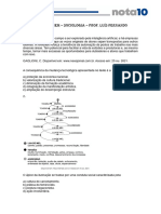 Revisão Enem 2023 - Sociologia