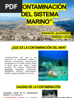 La Contaminación Del Sistema Marino