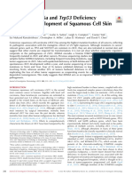 2022 Shea LK (J Invest Dermatol) Combined Kdm6a and Trp53 Deficiency Drives The Development of Squamous Cell Skin Cancer in Mice