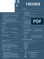 Gray Photographer Modern Resume