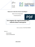 Les Organes de Représentation Des Salariés Dans L'entreprise